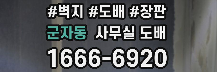 군자동 사무실 도배