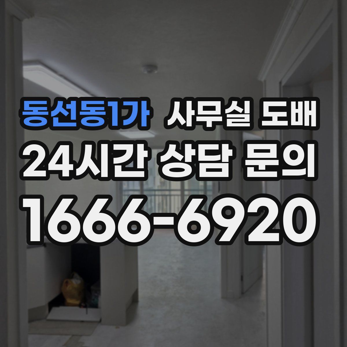 동선동1가 사무실 도배