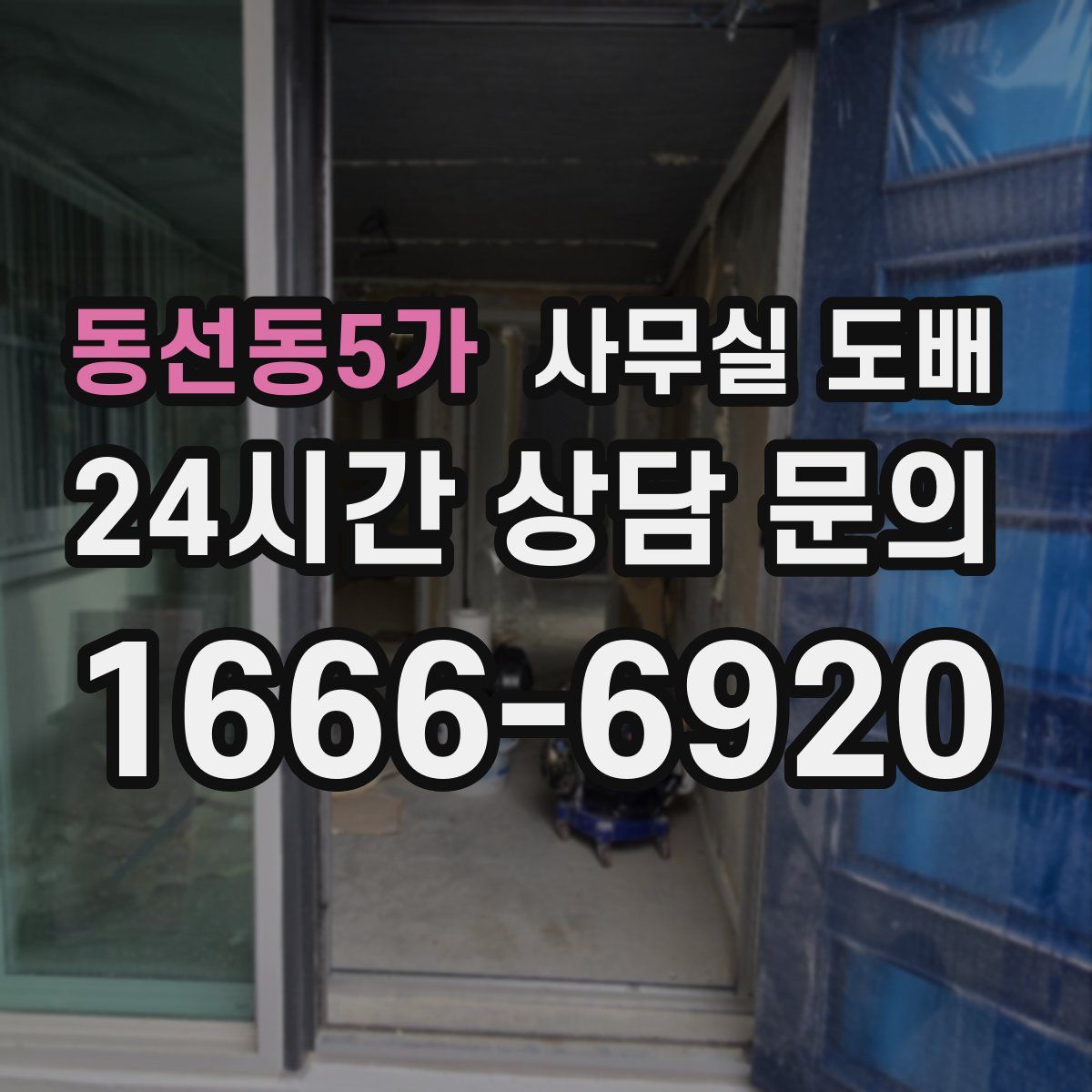 동선동5가 사무실 도배