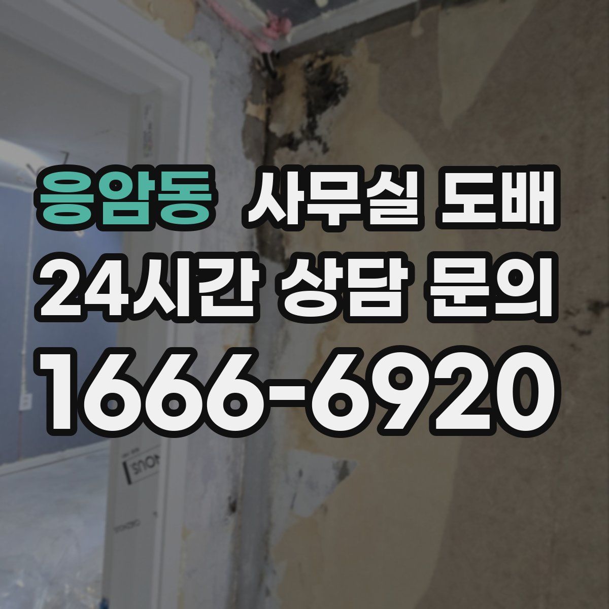 응암동 사무실 도배
