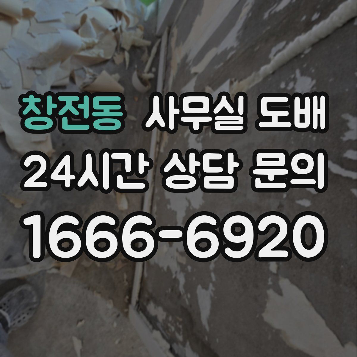 창전동 사무실 도배
