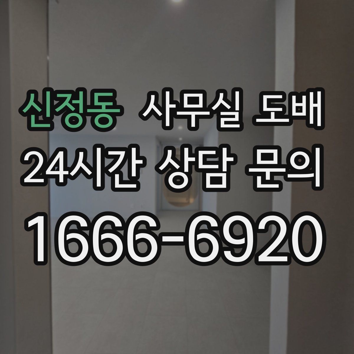 신정동 사무실 도배