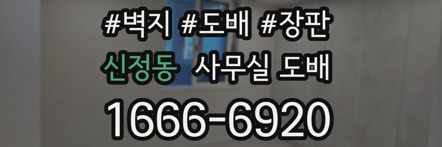 신정동 사무실 도배