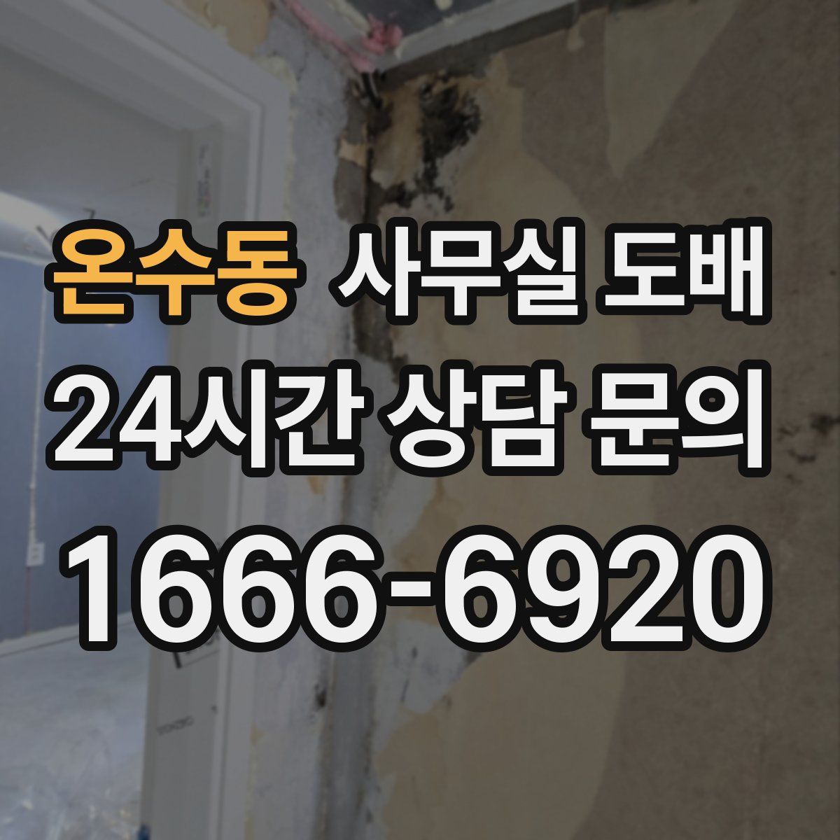 온수동 사무실 도배