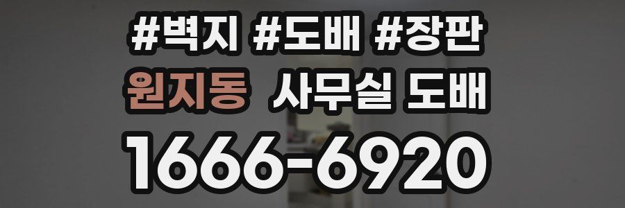 원지동 사무실 도배