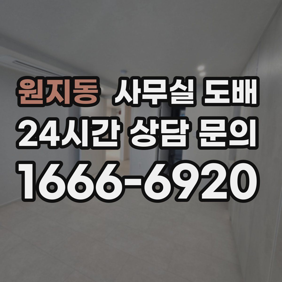 원지동 사무실 도배