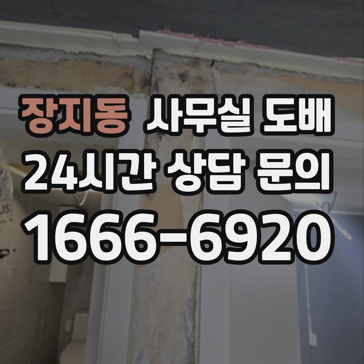 장지동 사무실 도배