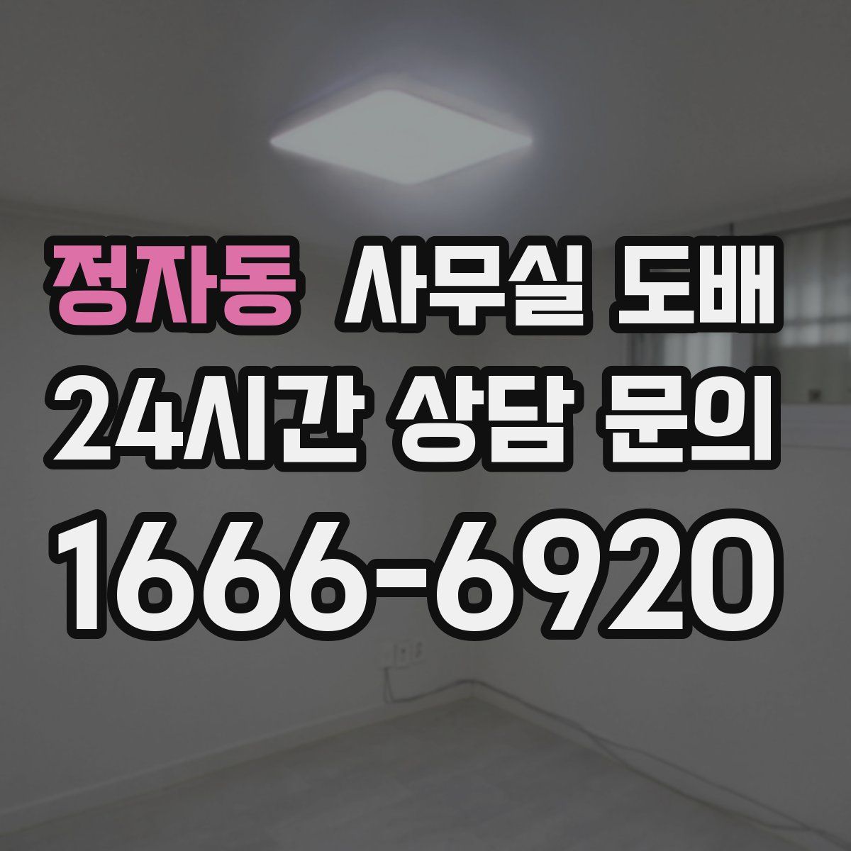 정자동 사무실 도배