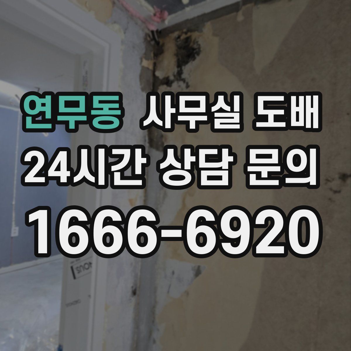 연무동 사무실 도배