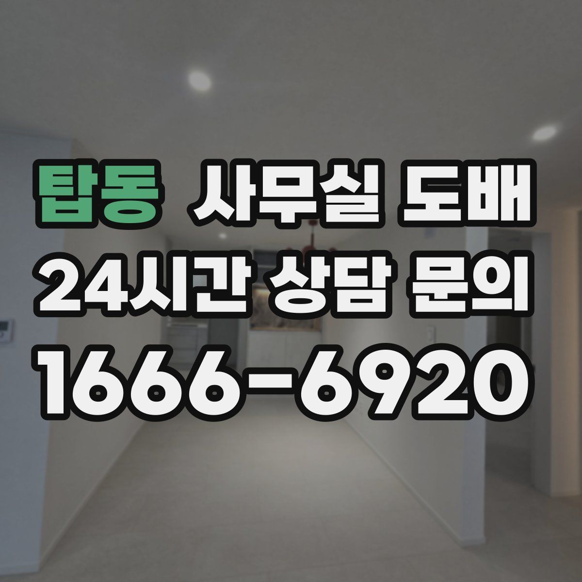 탑동 사무실 도배