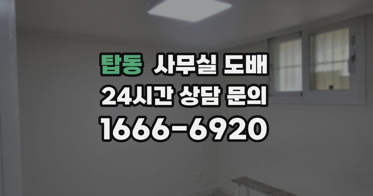 탑동 사무실 도배