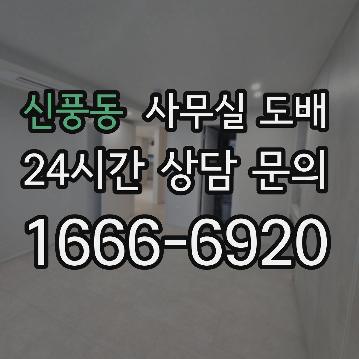신풍동 사무실 도배
