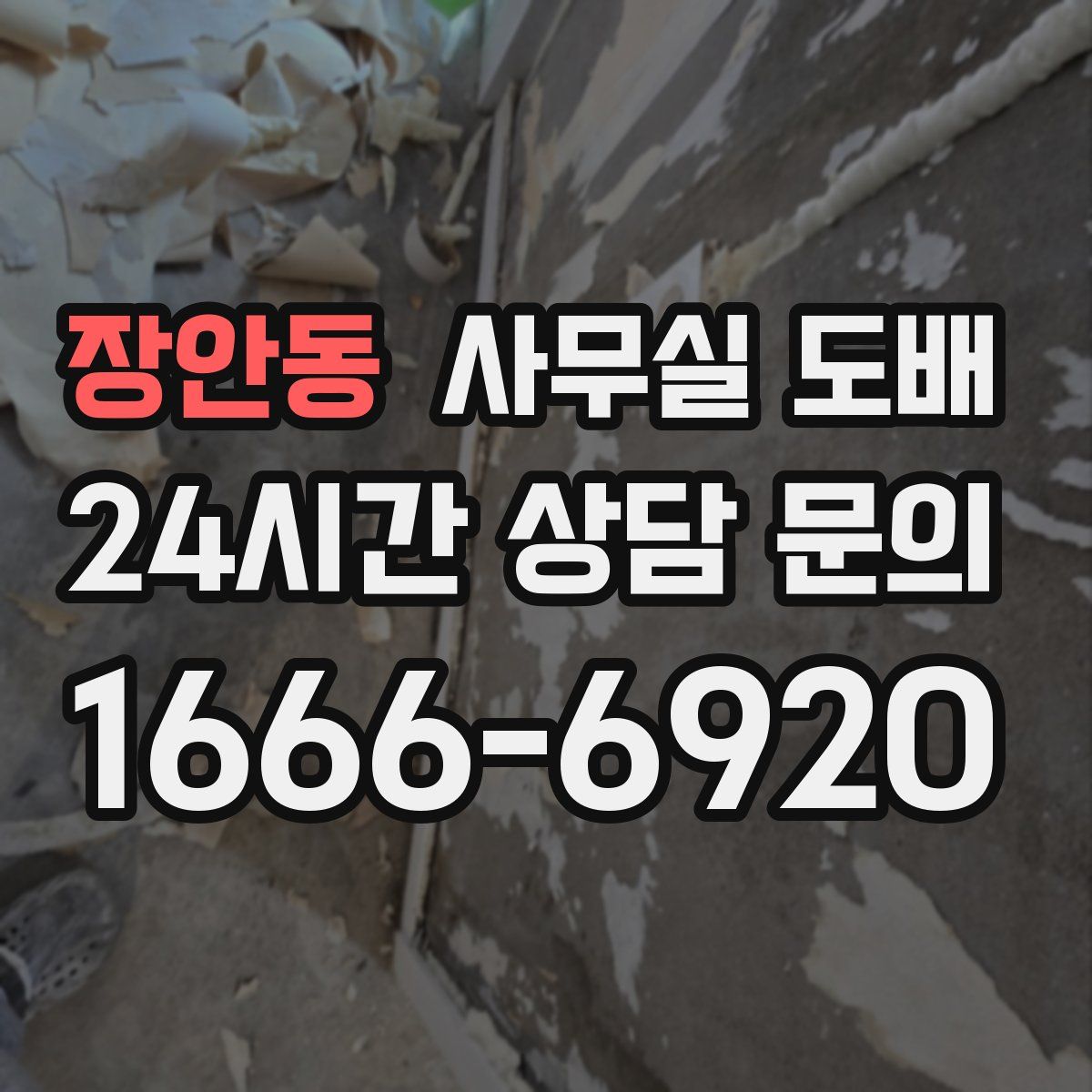 장안동 사무실 도배