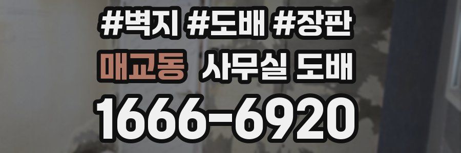 매교동 사무실 도배