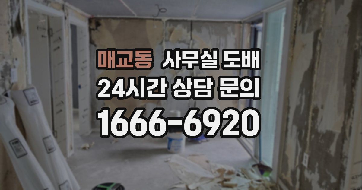 매교동 사무실 도배
