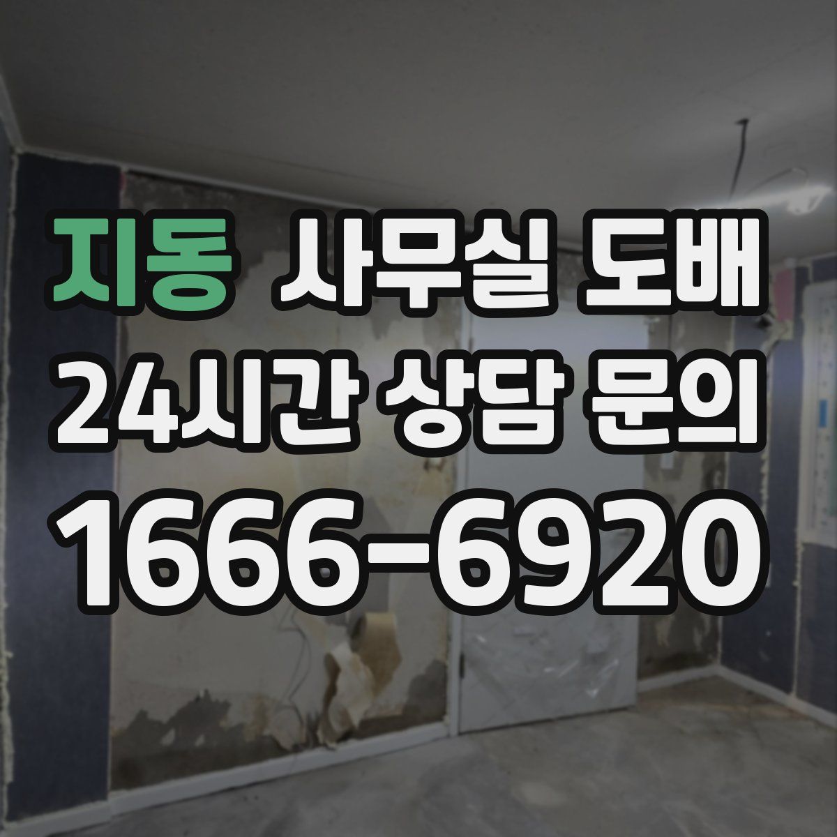 지동 사무실 도배