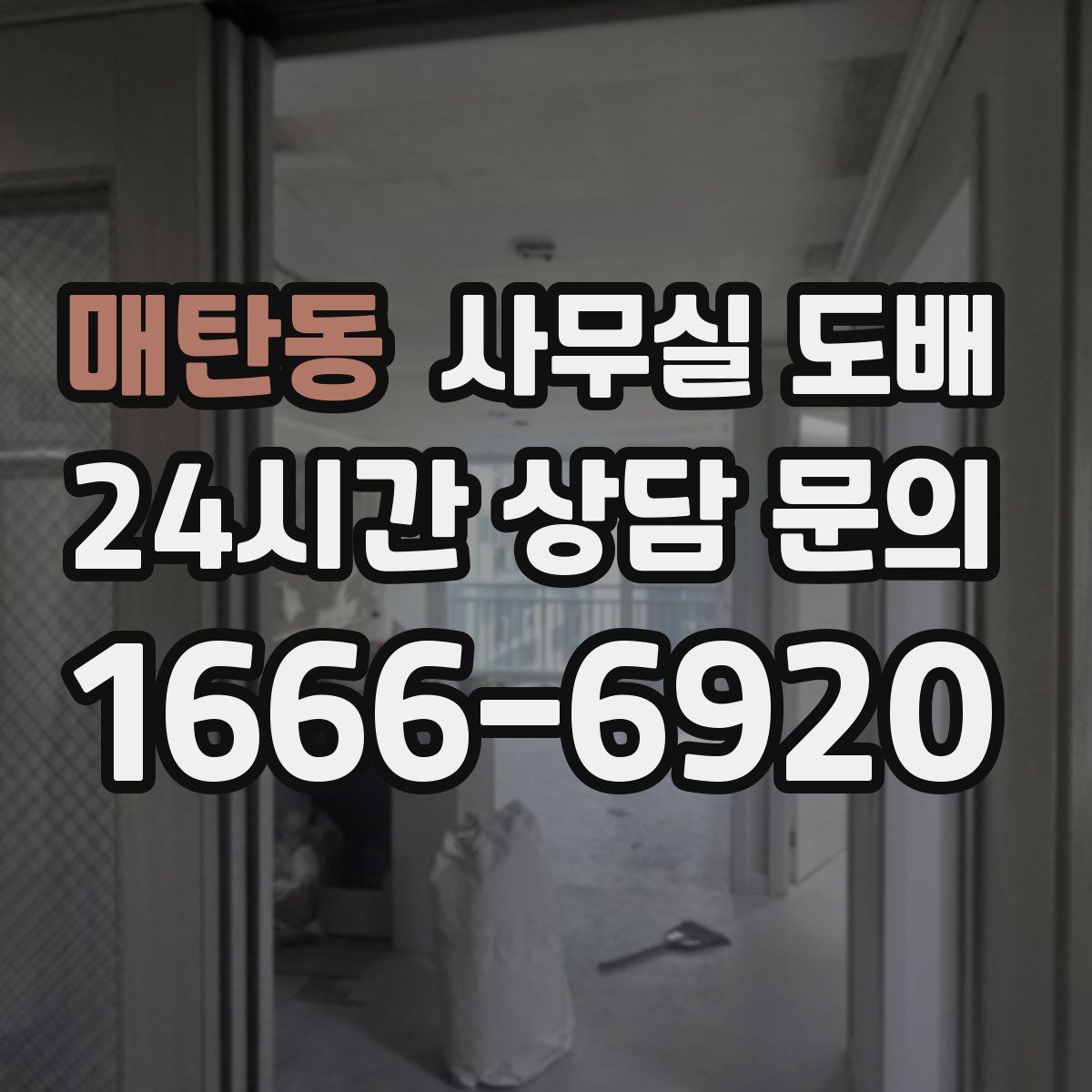 매탄동 사무실 도배
