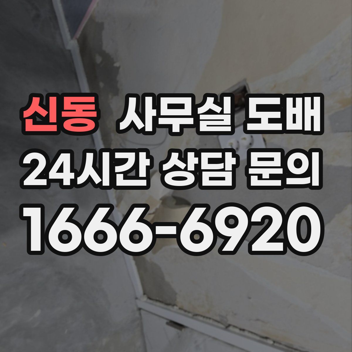 신동 사무실 도배