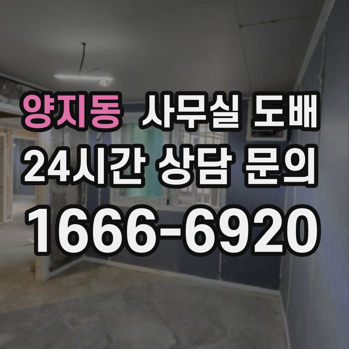 양지동 사무실 도배