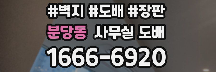 분당동 사무실 도배