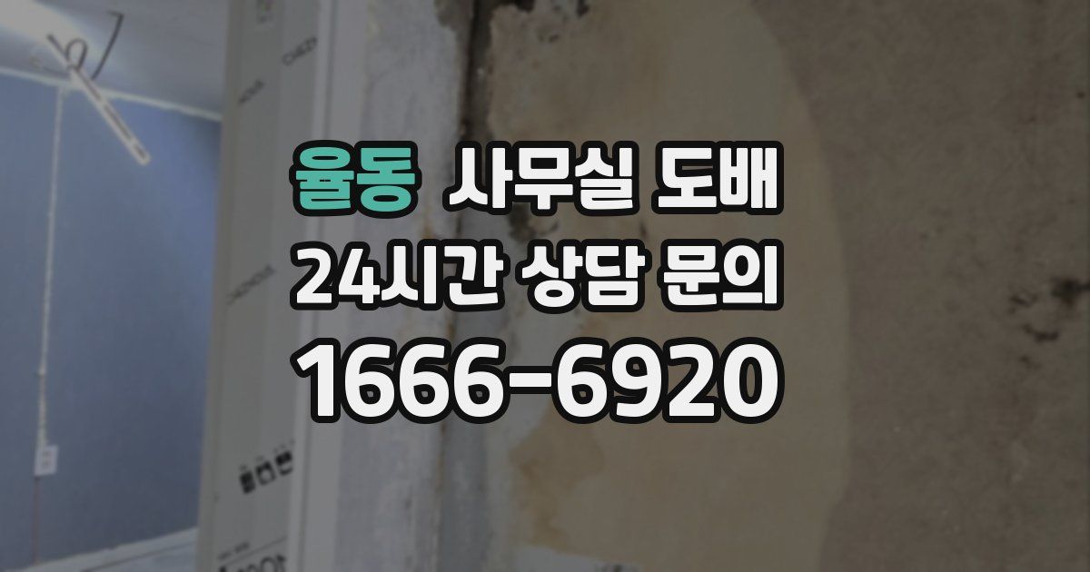 율동 사무실 도배
