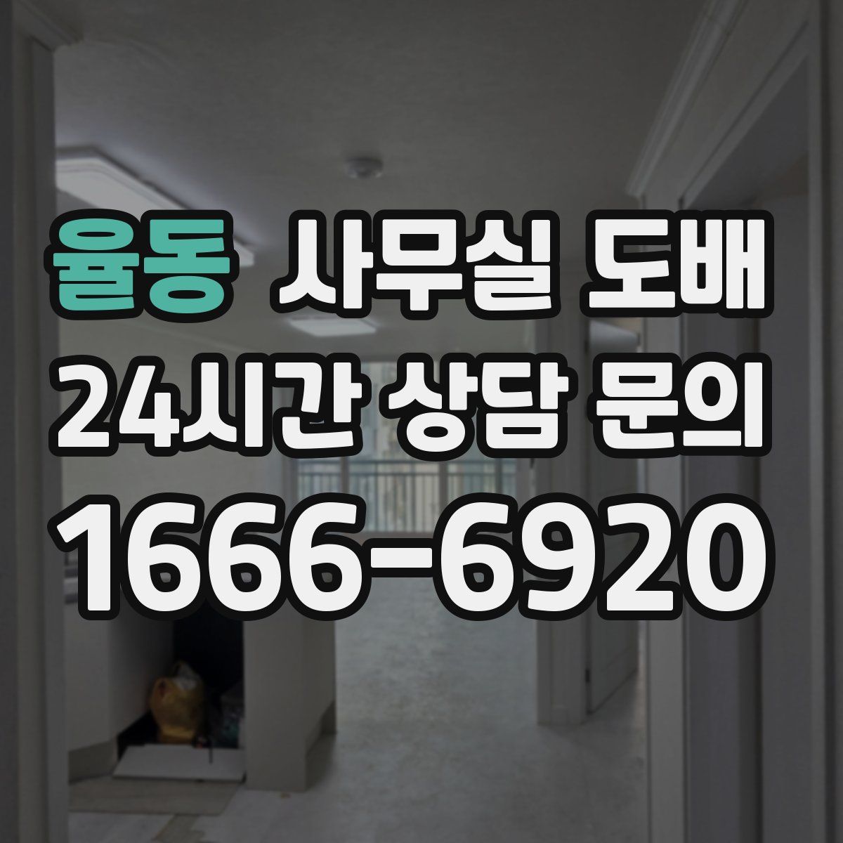 율동 사무실 도배