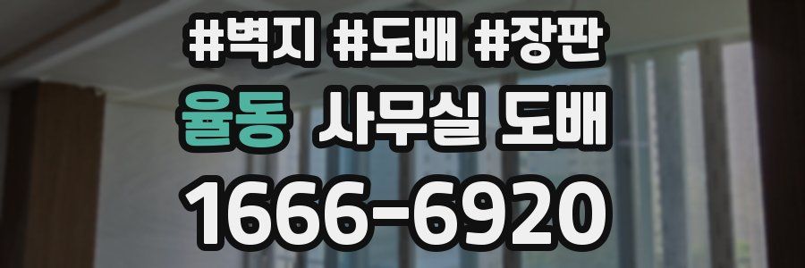 율동 사무실 도배