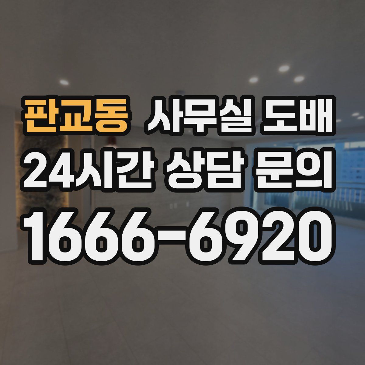 판교동 사무실 도배
