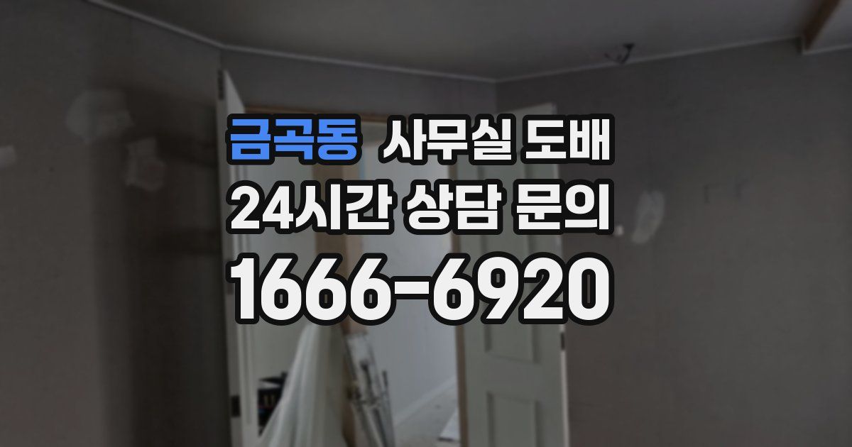 금곡동 사무실 도배