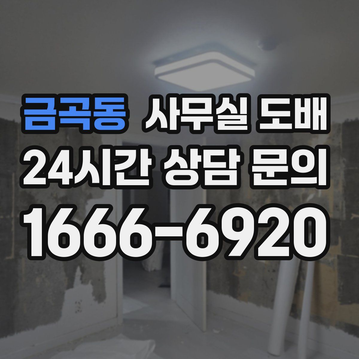 금곡동 사무실 도배