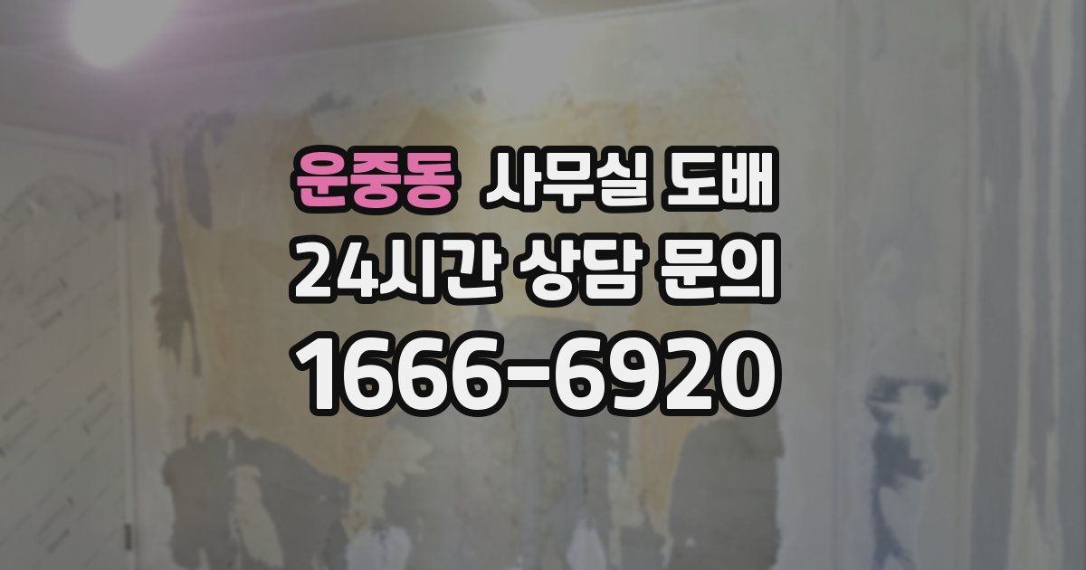 운중동 사무실 도배