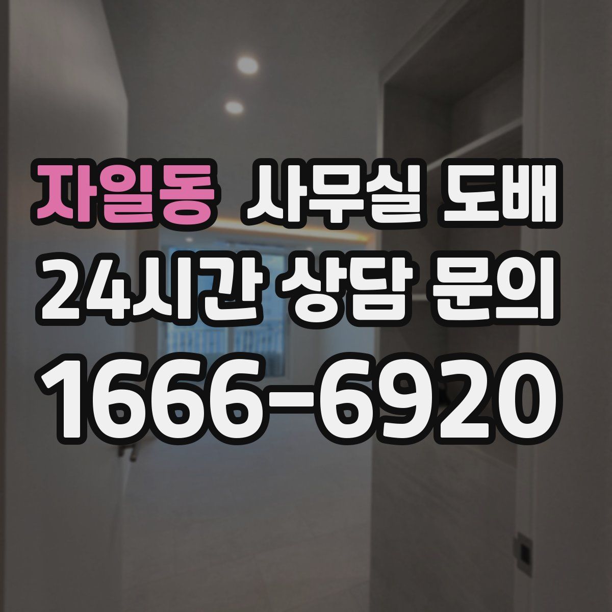 자일동 사무실 도배
