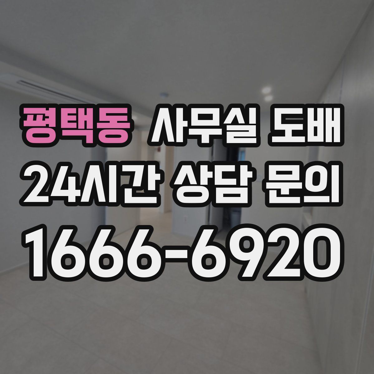 평택동 사무실 도배