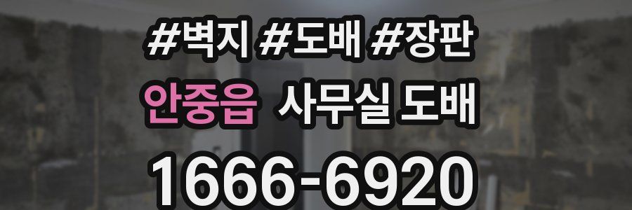 안중읍 사무실 도배