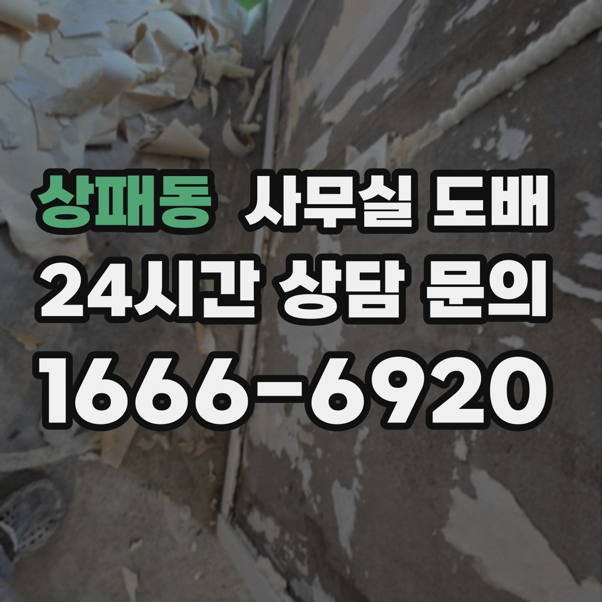 상패동 사무실 도배