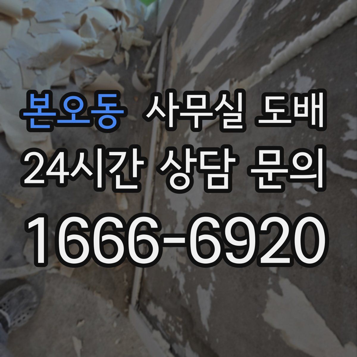본오동 사무실 도배