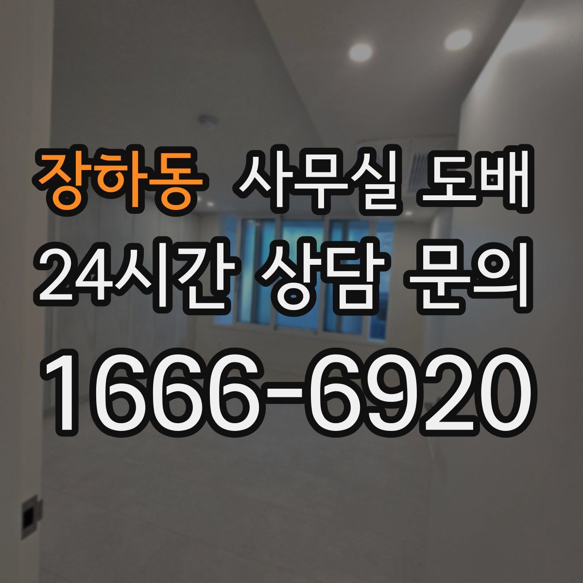장하동 사무실 도배