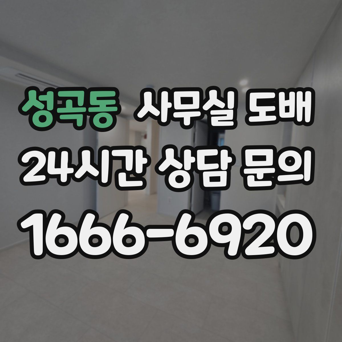성곡동 사무실 도배