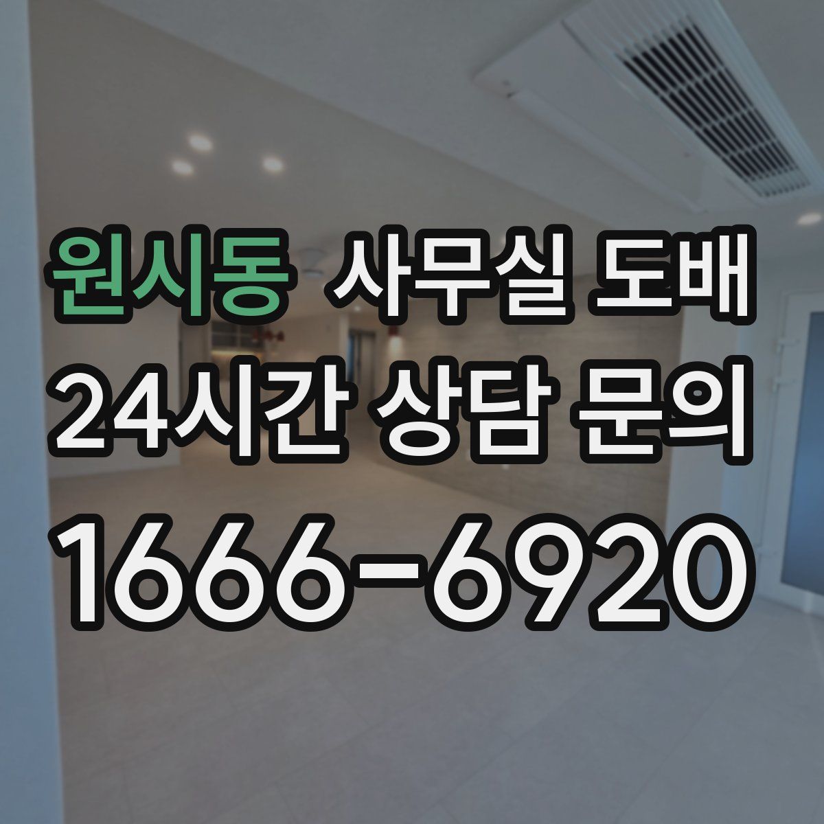 원시동 사무실 도배