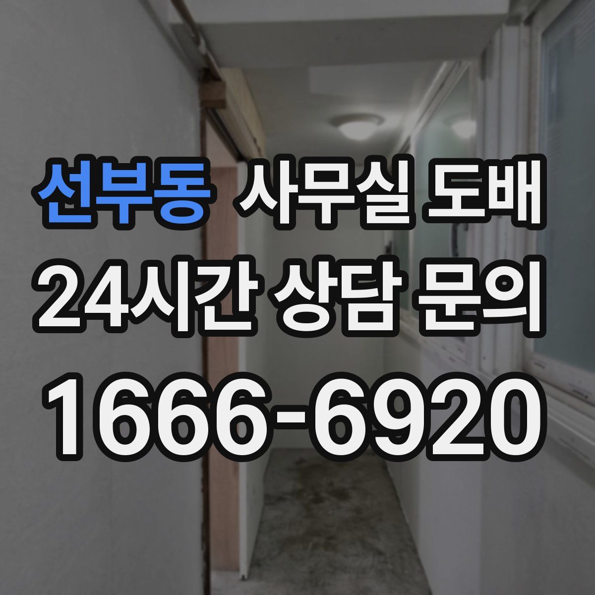 선부동 사무실 도배