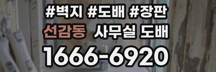 선감동 사무실 도배