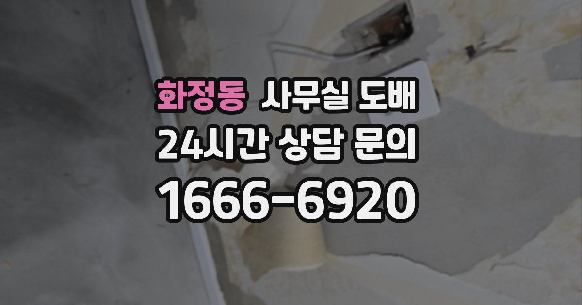 화정동 사무실 도배