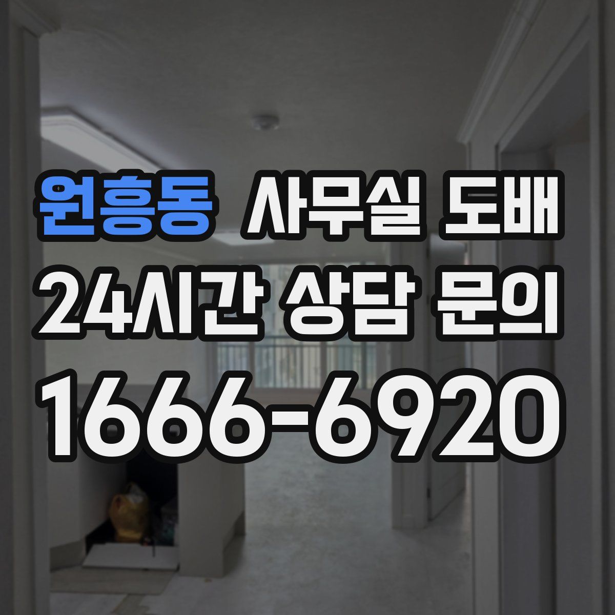 원흥동 사무실 도배
