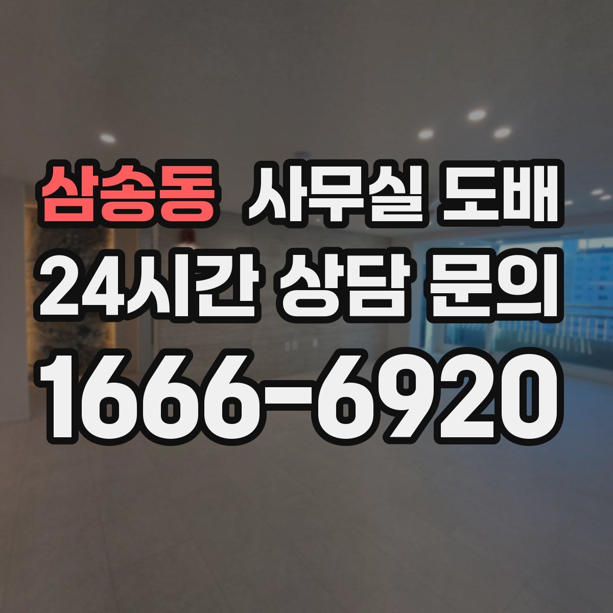 삼송동 사무실 도배