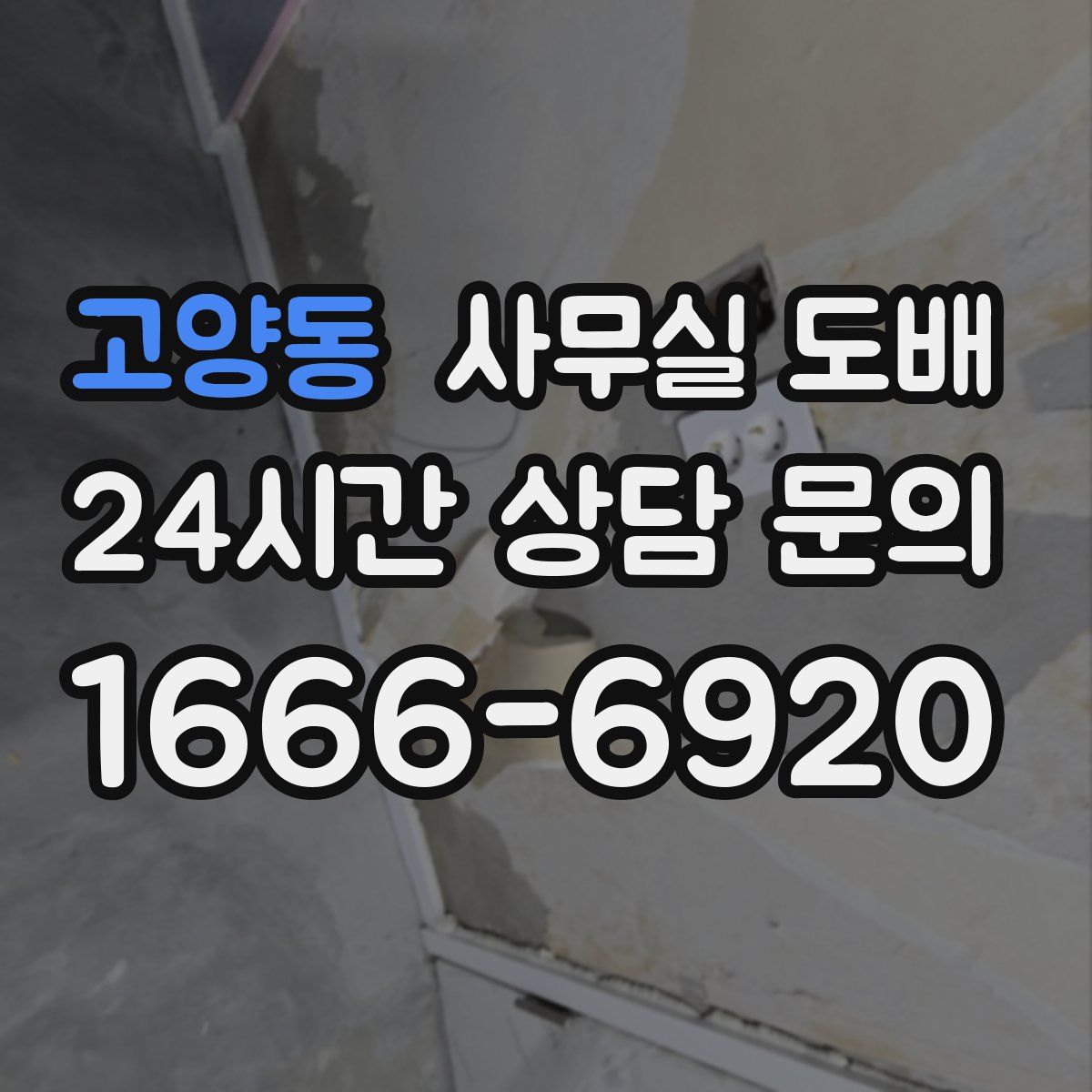 고양동 사무실 도배