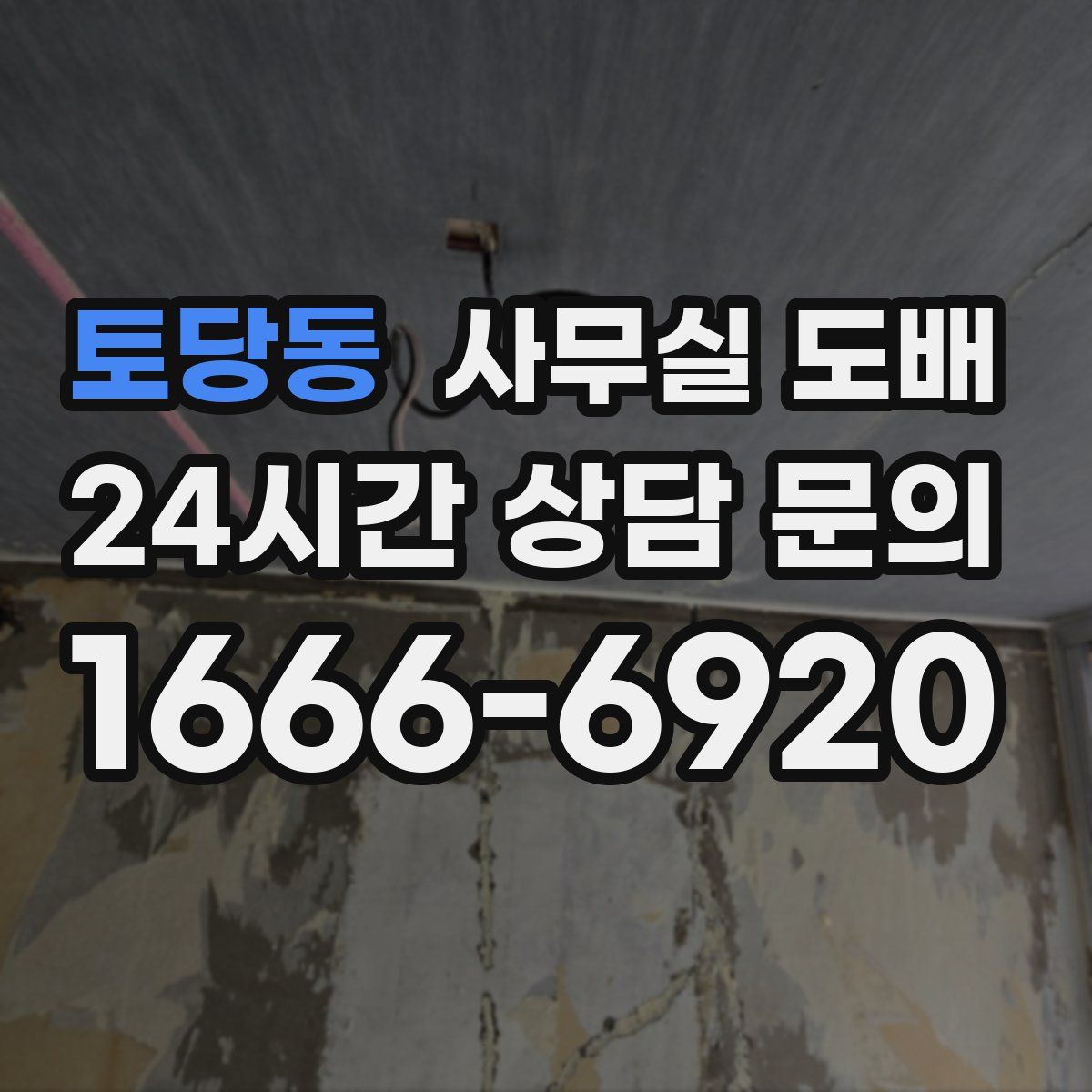 토당동 사무실 도배
