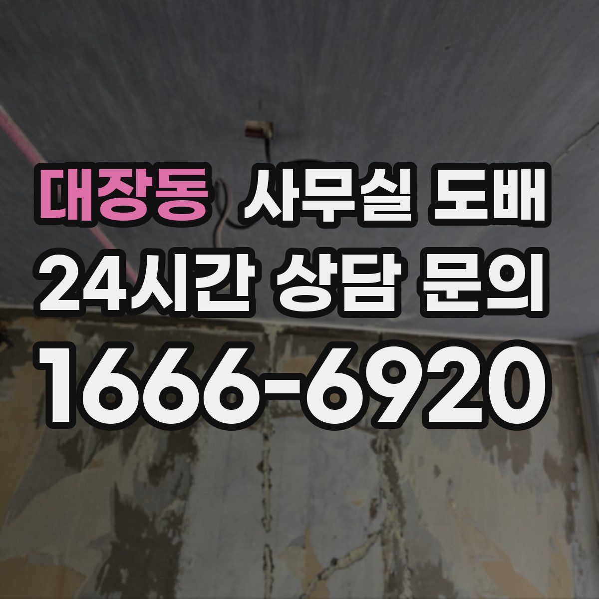 대장동 사무실 도배