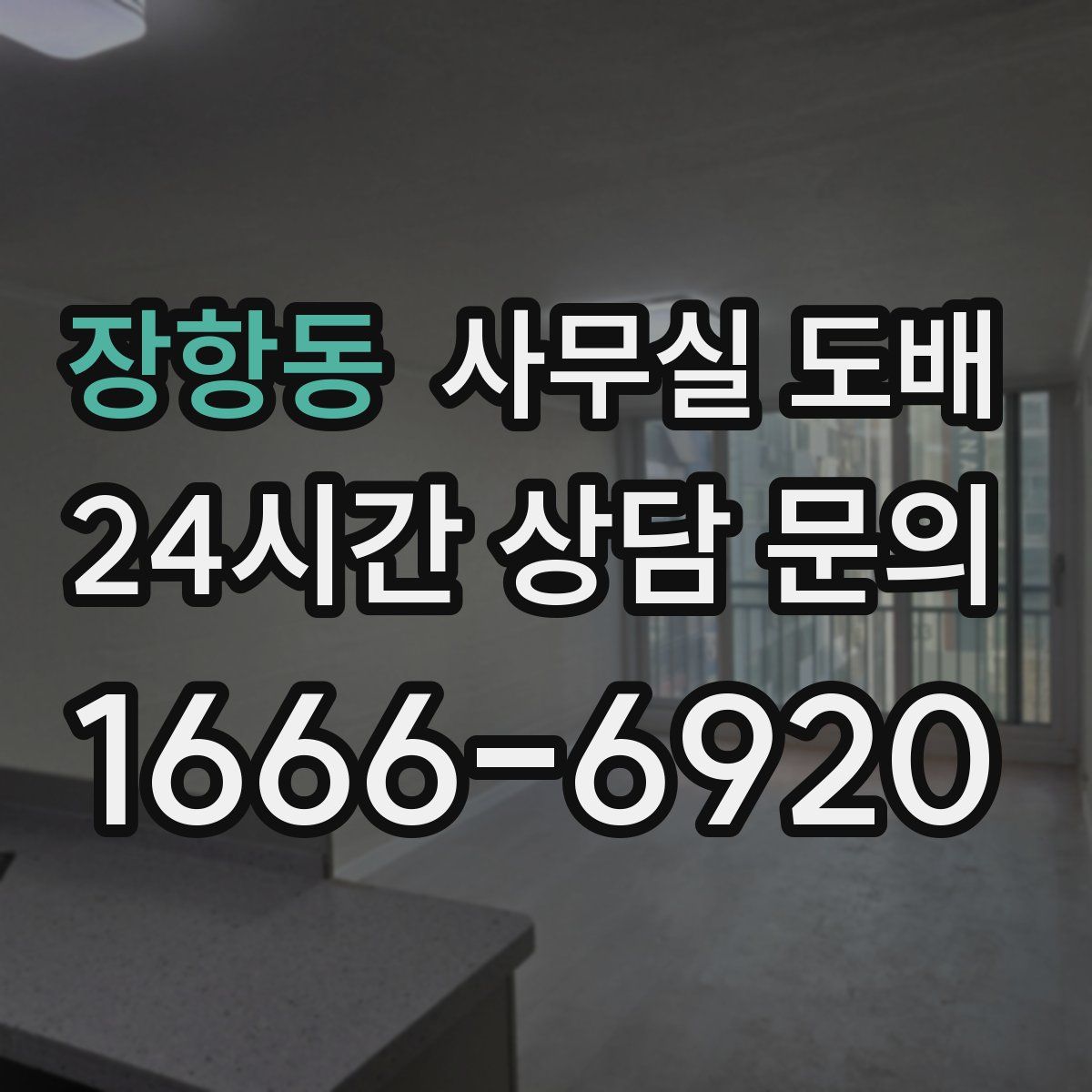장항동 사무실 도배