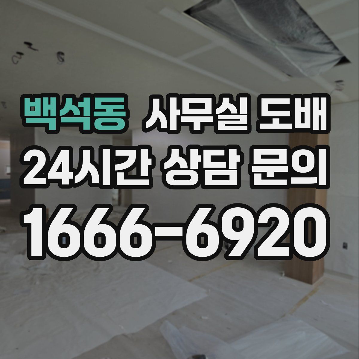 백석동 사무실 도배