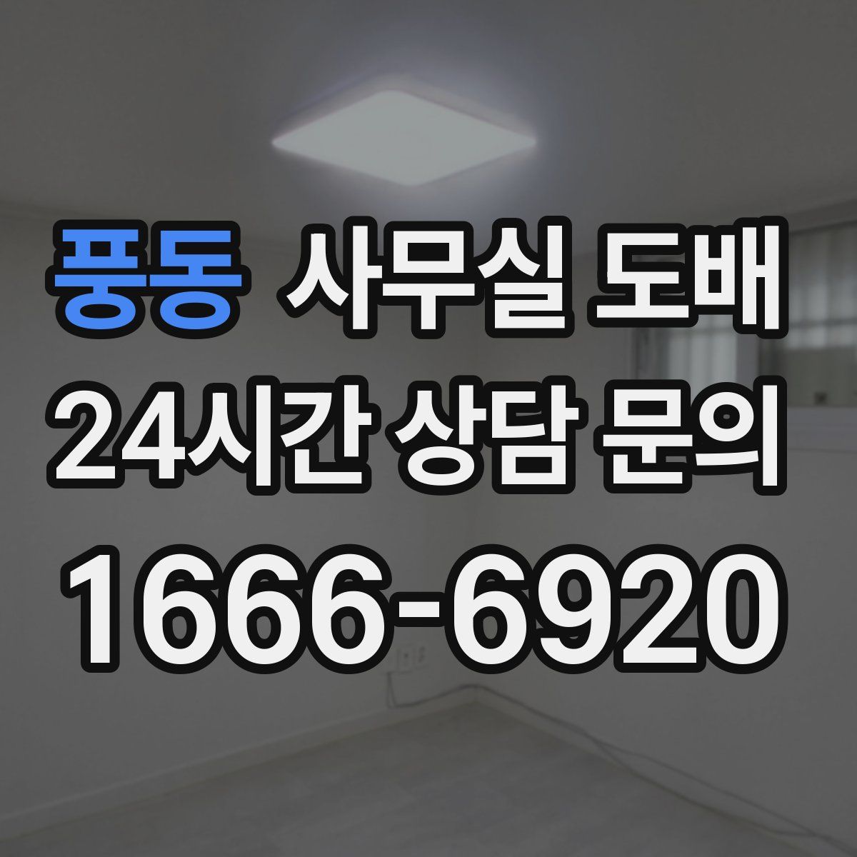 풍동 사무실 도배